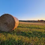 Siedlisko Na Wzgorzu - - Borsuki