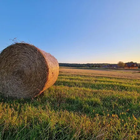 Siedlisko Na Wzgorzu - - Borsuki
