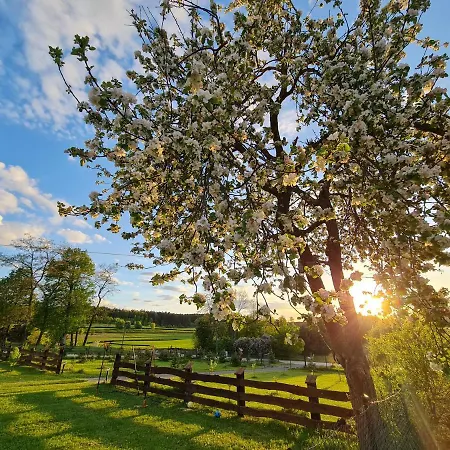 Siedlisko Na Wzgorzu - - Borsuki Holiday home