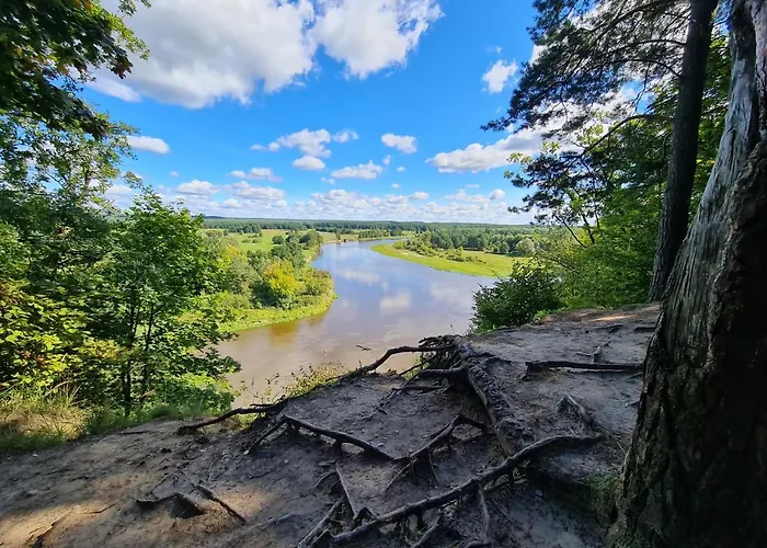 Siedlisko Na Wzgorzu - - Borsuki Holiday home Sarnaki