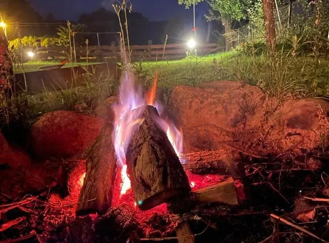 Siedlisko Na Wzgorzu - - Borsuki Sarnaki