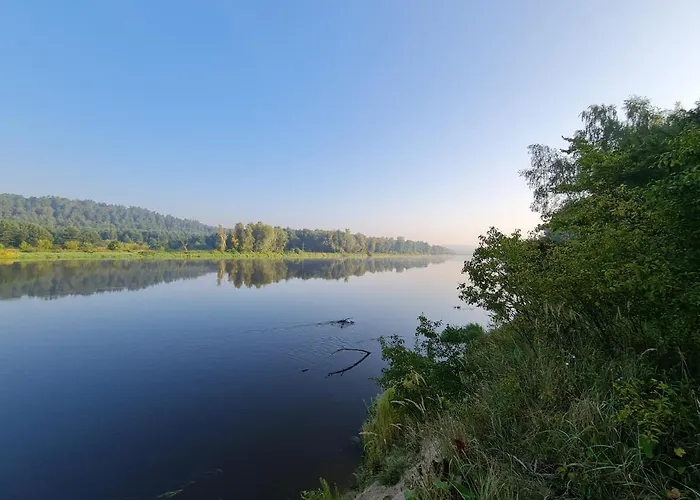 Siedlisko Na Wzgorzu - - Borsuki Sarnaki