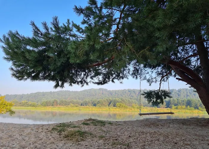 Siedlisko Na Wzgorzu - - Borsuki *