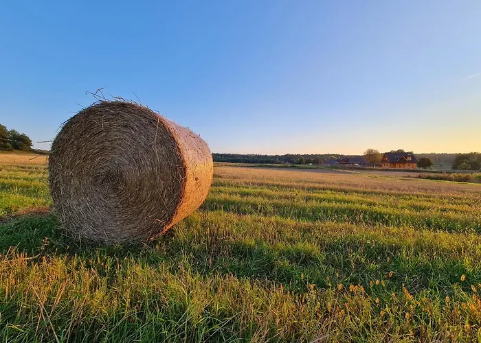 Siedlisko Na Wzgorzu - - Borsuki