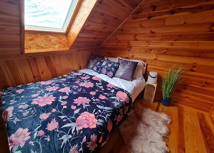 Siedlisko Na Wzgorzu - - Borsuki *