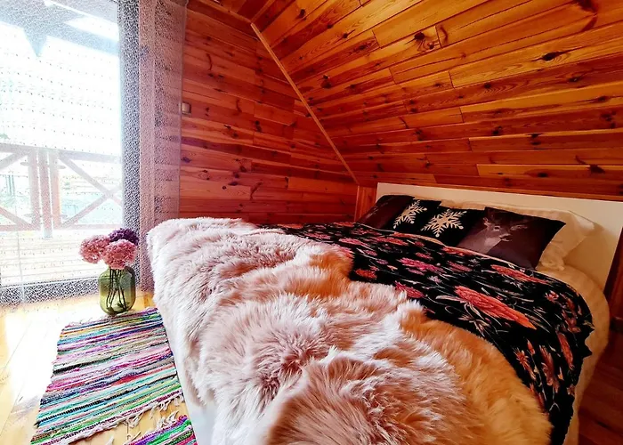 Siedlisko Na Wzgorzu - - Borsuki Sarnaki