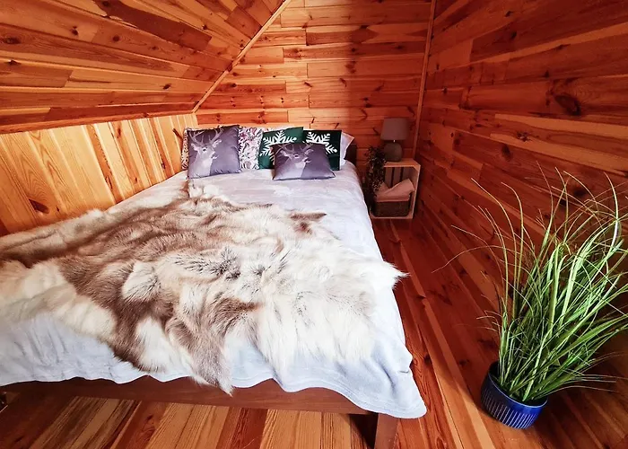 Holiday home Siedlisko Na Wzgorzu - - Borsuki *