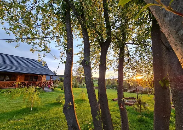 Siedlisko Na Wzgorzu - - Borsuki Sarnaki