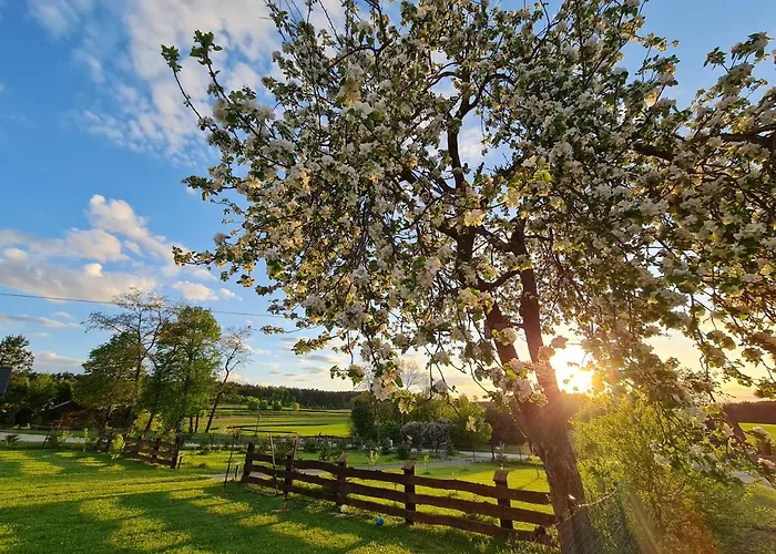 Siedlisko Na Wzgorzu - - Borsuki Holiday home