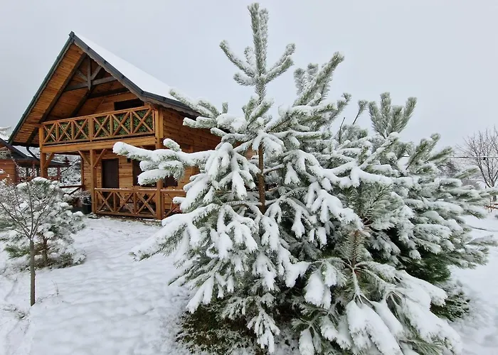 Siedlisko Na Wzgorzu - - Borsuki Sarnaki