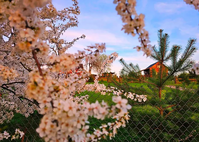 Siedlisko Na Wzgorzu - - Borsuki *